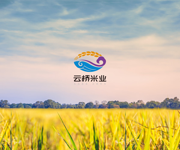 泰來大米-云橋米業品牌與包裝設計